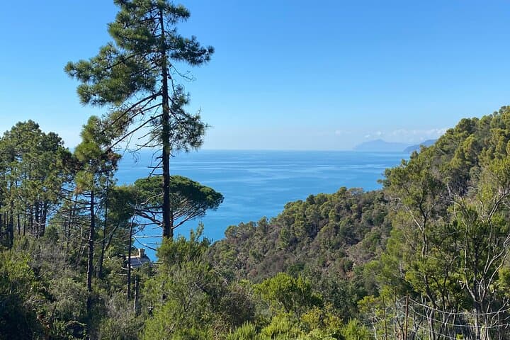 Monterosso Cinque Terre Coastal Horseback Ride: Sea Views & Trail Vistas photo 5