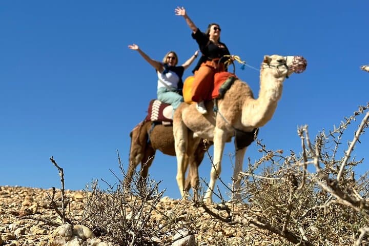 Agafay Desert Camel Ride and Magical Dinner Near Marrakech photo 2