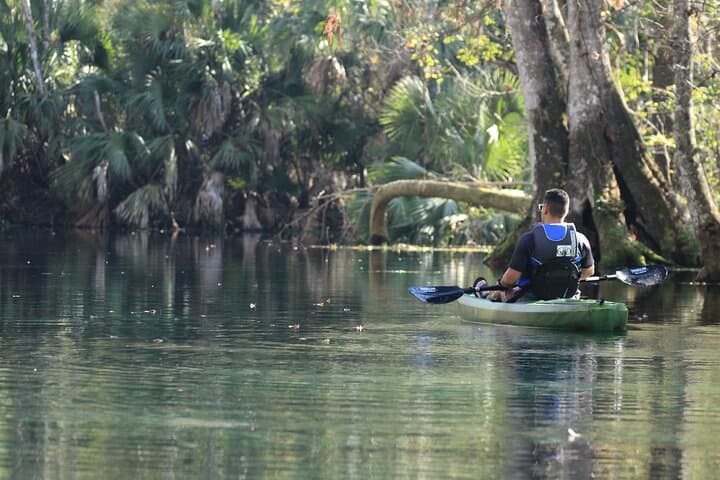 Paddling Florida’s Crystal River: Silver Springs Manatee Kayak Tour Guide photo 5