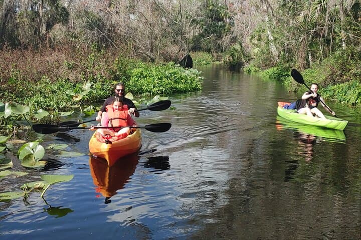 Wekiva Wildlife Kayaking Adventure on the Lower Wekiva River photo 5