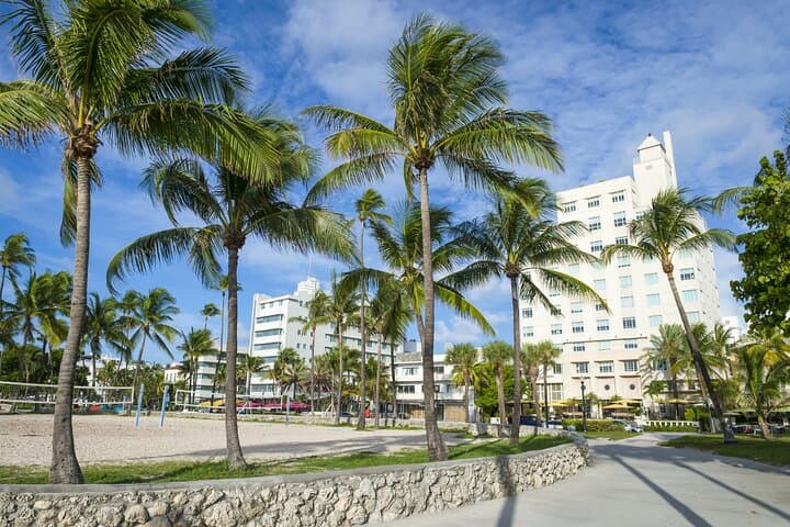 South Beach Romance: Private 2-Hour Walking Tour of Lincoln Road, Art Deco & Lummus Park photo 4