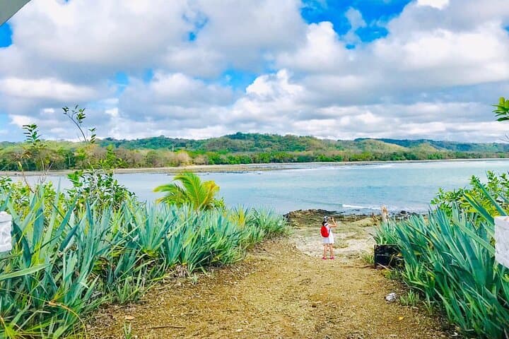 Montezuma Jungle Mountain Bike Adventure — Coastal Trails & Secret Waterfalls photo 5