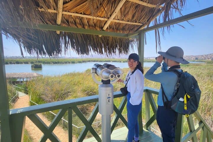 Birdwatching and Trekking at Pantanos de Villa: Lima's Urban Wetland Escape photo 2