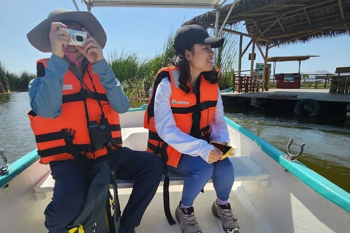 Birdwatching and Trekking at Pantanos de Villa: Lima's Urban Wetland Escape photo 5