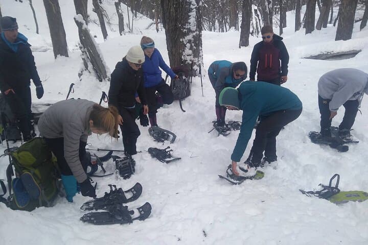 Winter Snowshoeing in Bariloche: Private Guided Trek to 1600m photo 5