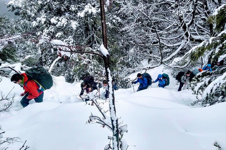 Winter Snowshoeing in Bariloche: Private Guided Trek to 1600m photo 3