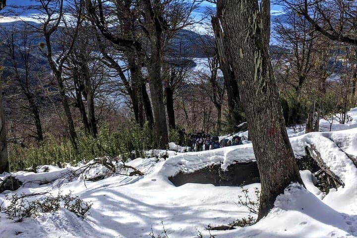 Winter Snowshoeing in Bariloche: Private Guided Trek to 1600m photo 6