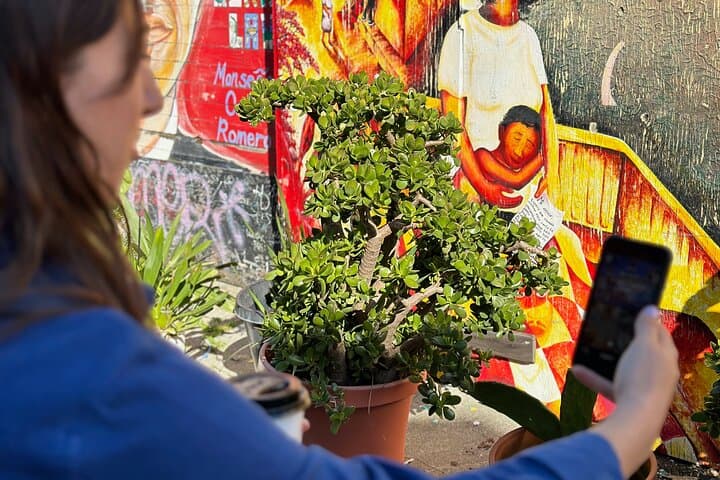 Immersive San Francisco Migration Walks — Chinatown, Castro & Mission Audio Tours