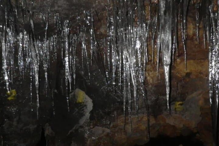Mt. Fuji Ice Caves and Aokigahara Sea of Trees: Guided Forest Walk and Lava Cave Tour