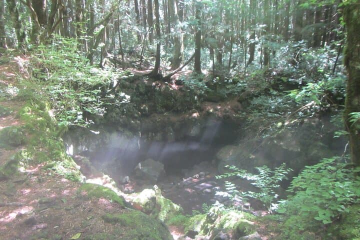 Mt. Fuji Ice Caves and Aokigahara Sea of Trees: Guided Forest Walk and Lava Cave Tour photo 4