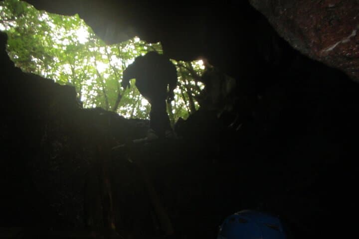 Mt. Fuji Ice Caves and Aokigahara Sea of Trees: Guided Forest Walk and Lava Cave Tour photo 5