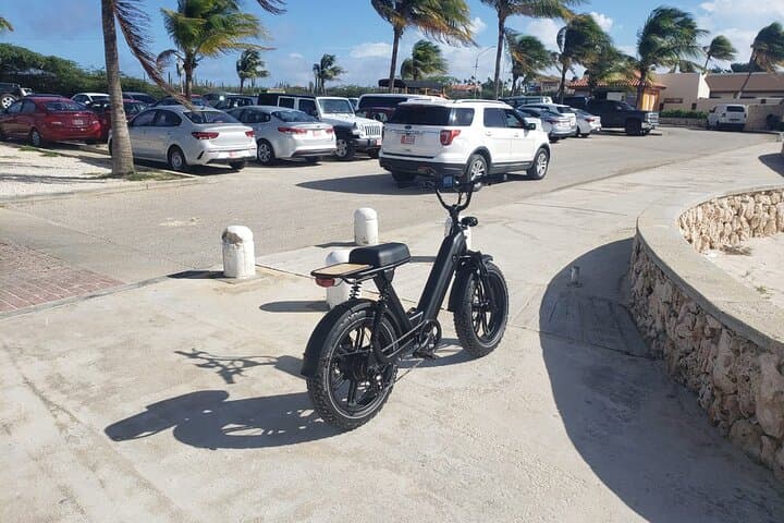 Electric Bike Rentals in Aruba: Solar‑Charged Coastal and Backroad Tours photo 3