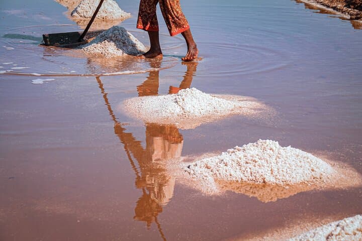 Scooter Through Kampot: Half-Day Pepper, Salt & Cave Tour photo 2