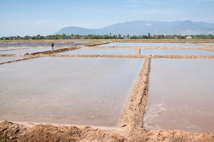 Scooter Through Kampot: Half-Day Pepper, Salt & Cave Tour photo 4