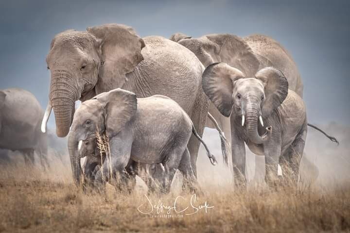 Tsavo East in 48 Hours: Diani Beach to Big-Game Safari photo 2