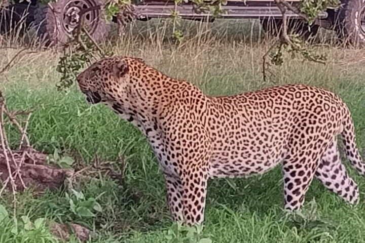 Red Dust and Giants: 3-Day Private Safari to Tsavo East from Watamu photo 3