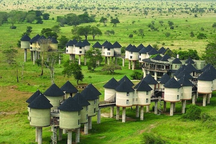 3-Day Tsavo East & Taita Hills Safari to Saltlick Lodge from Malindi