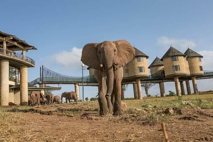 4-Day Best of Kenya Safari: Amboseli to Tsavo Wildlife Expedition