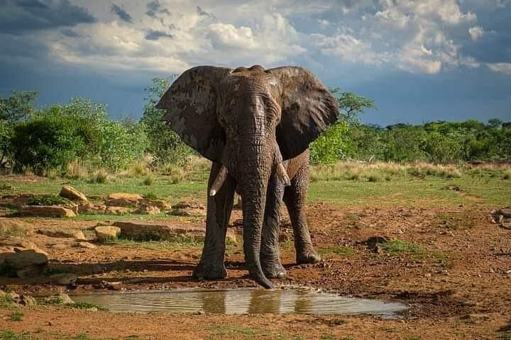 3-Day Tsavo East Safari from Diani Beach — Big Game & Lugard Falls Picnic photo 1