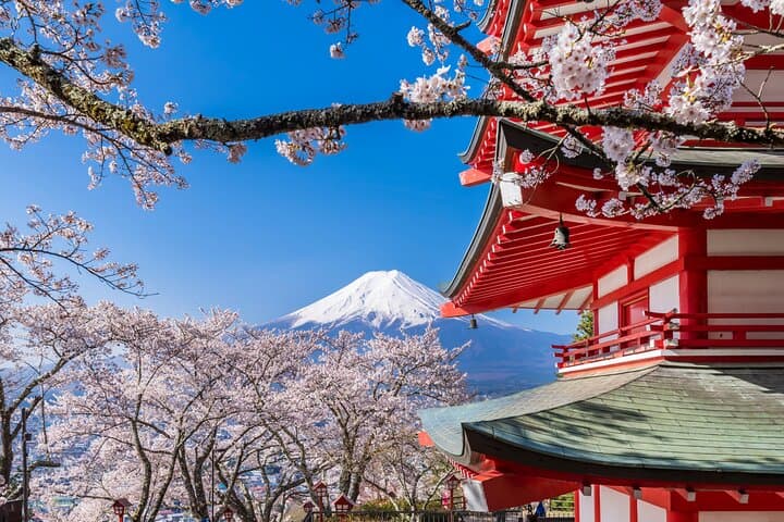 Mt Fuji Five Lakes Private Tour from Tokyo: Guide, Sites & Local Flavors