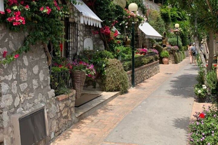 Private Capri Day Tour from Sorrento: Blue Grotto, Monte Solaro & Augustus Gardens photo 4