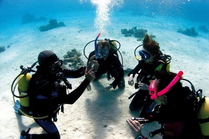 Fethiye Scuba Diving: Two-Dive Aegean Experience for Beginners photo 2