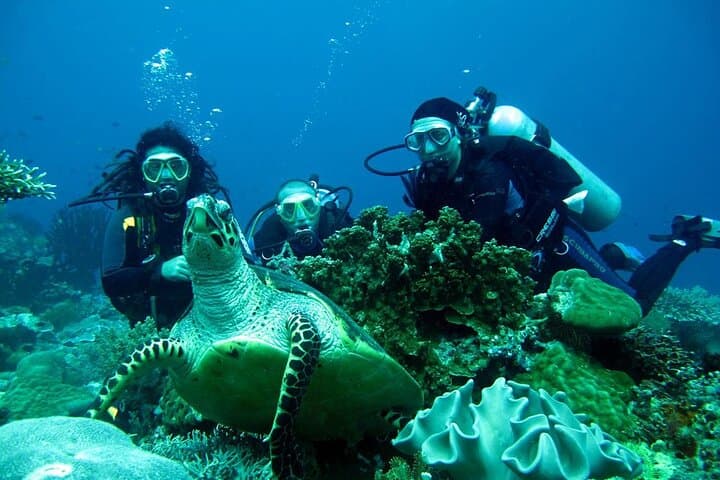 Fethiye Scuba Diving: Two-Dive Aegean Experience for Beginners photo 3