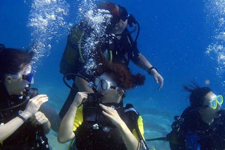 Fethiye Scuba Diving: Two-Dive Aegean Experience for Beginners photo 4
