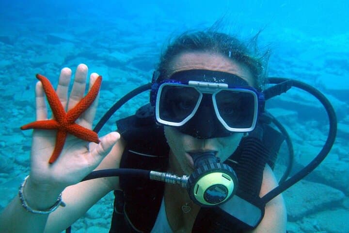 Fethiye Scuba Diving: Two-Dive Aegean Experience for Beginners photo 5