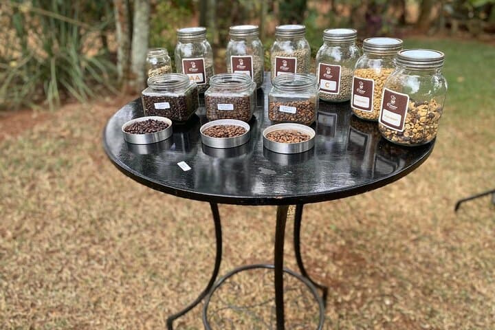 Fairview Estate Coffee Farm Tour From Nairobi — Farm-to-Cup Experience photo 6