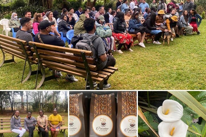 Fairview Estate Coffee Farm Tour From Nairobi — Farm-to-Cup Experience photo 3