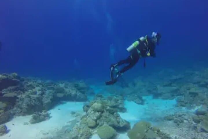 Montego Bay Scuba Diving and Hip Strip Shopping — Intro Open-Water Dive + Souvenir Stop photo 2
