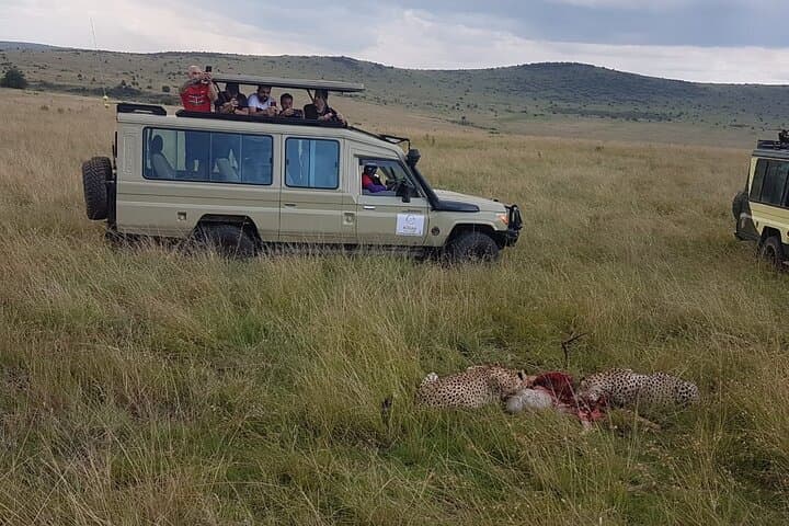3-Day Maasai Mara Private Safari: Game Drives, Lodges & Wildebeest Migration photo 6