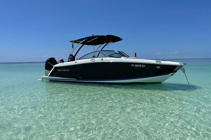Key Largo Dolphin Day Tour — 1-Hour Boat Rental with Captain