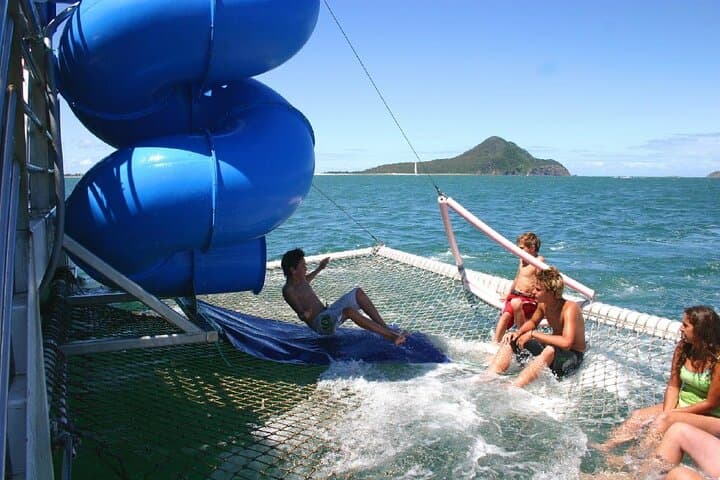 Port Stephens Day Adventure: Dolphins, Koalas & Stockton Sand Dunes photo 4