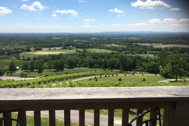 Private Loudoun County Wine Day Trip from Washington DC with 3 Winery Stops photo 5
