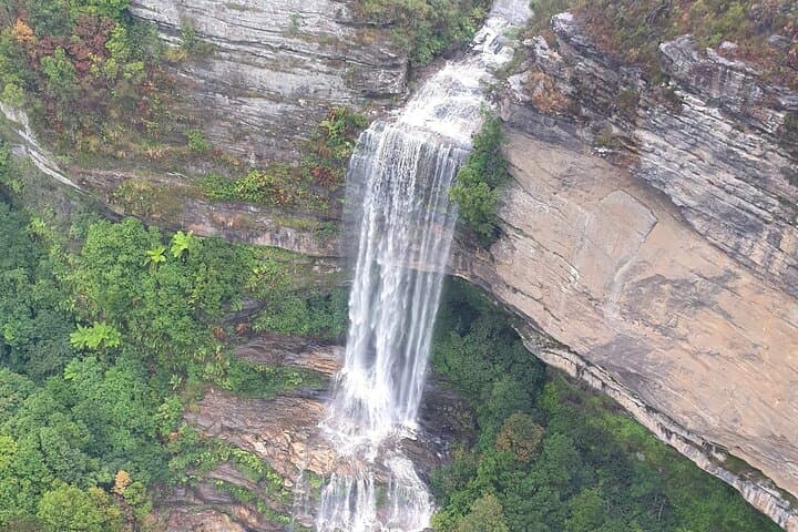 Blue Mountains Day Tour from Sydney: Koalas, Scenic World & Echo Point Views photo 5