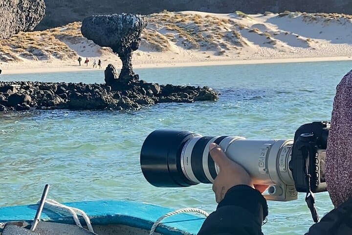 Paddle Balandra: Mega Paddleboards, Mangroves and Snorkeling with Sea Lions photo 2