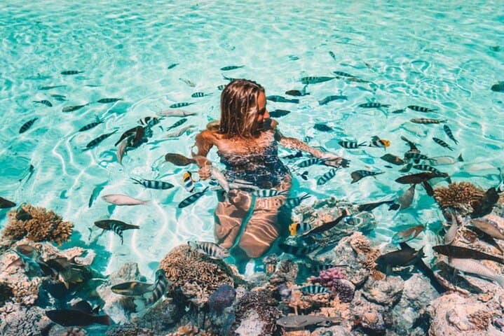 Bora Bora Private Jet Ski and Eco Sharks & Rays Snorkel Combo photo 3