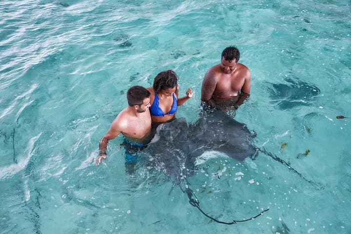 Bora Bora Private Jet Ski and Eco Sharks & Rays Snorkel Combo photo 5