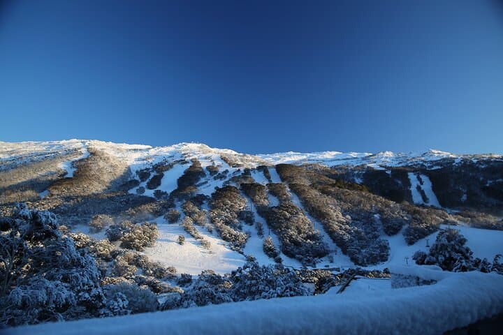 Thredbo Day Trip from Sydney: 1-Day Snow Tour to Thredbo Ski Resort photo 5
