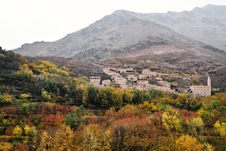 Full-Day Ourika Valley & Atlas Mountains Tour from Marrakesh photo 3