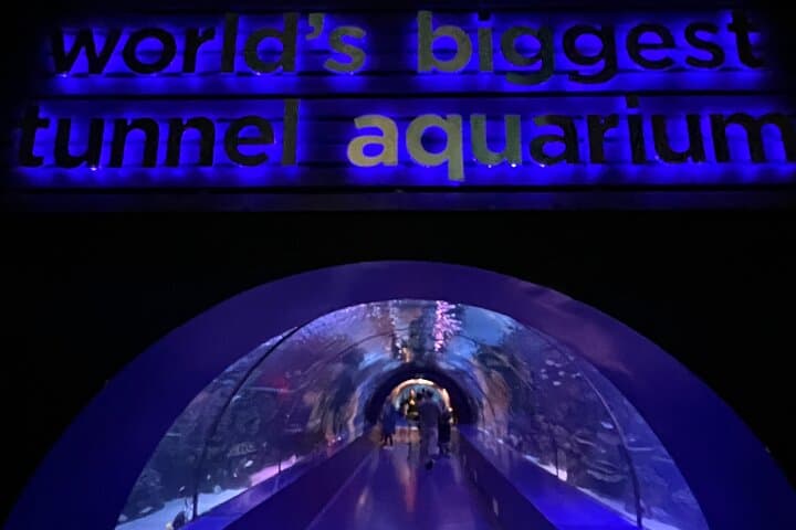 Antalya Aquarium & Face2Face Wax Museum Private Transfer — Skip-the-Line Tour photo 2