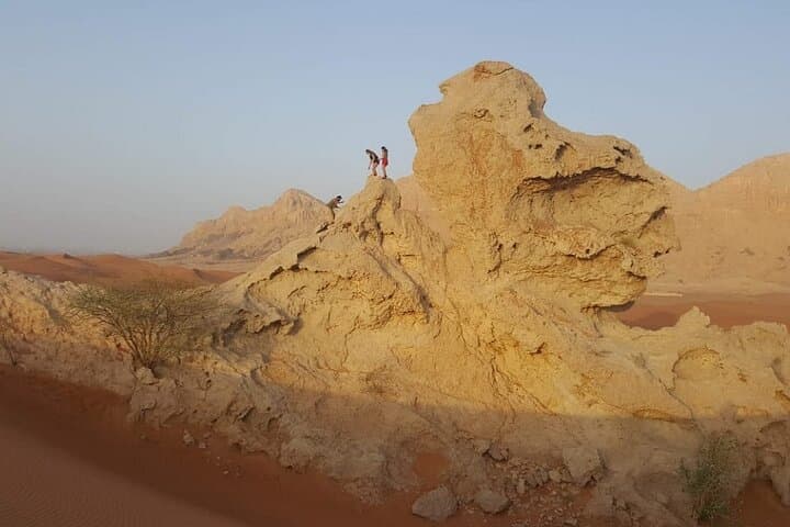Dubai Morning Desert Safari: Dune Bashing, Sandboarding & Camel Rides photo 3