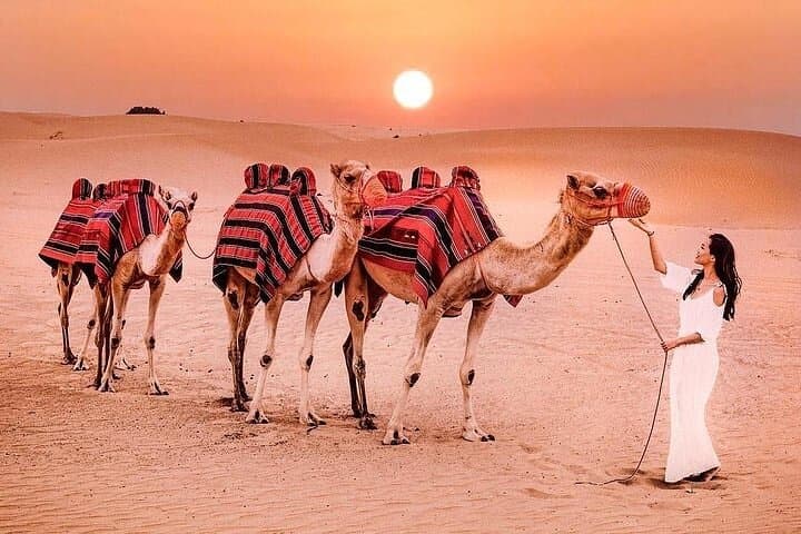 Dubai Morning Desert Safari: Dune Bashing, Sandboarding & Camel Rides photo 5