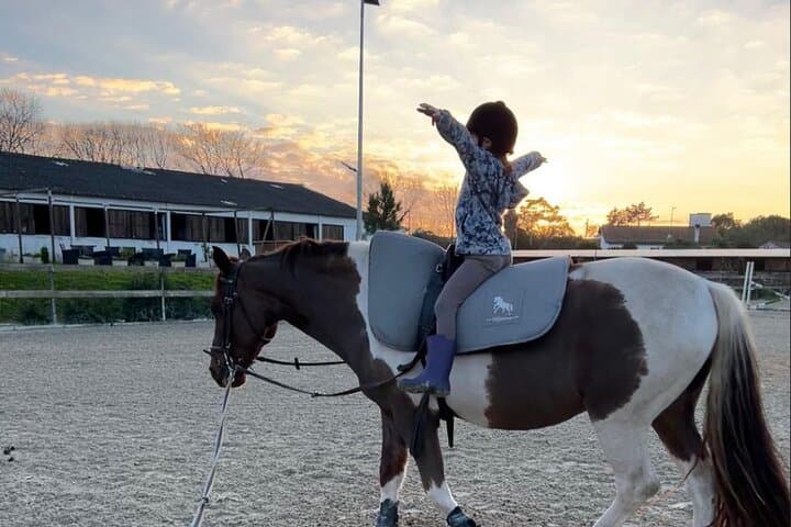 Horse Baptism in Aveiro: 30-Minute Guided Ride Through Ílhavo Wetlands photo 3