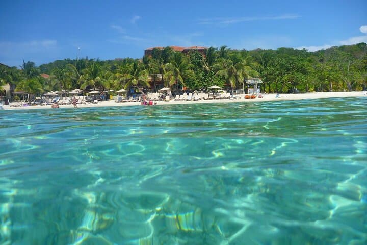 Roatán Eco-Park and West Bay Beach Tour: Wildlife, Culture & Reefside Relaxation photo 2