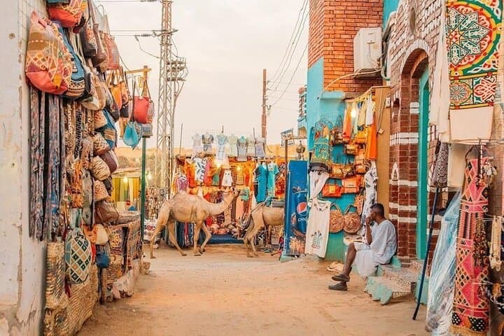 Live Like a Nubian: Aswan Nubian Village Cultural Tour and TukTuk Walk
