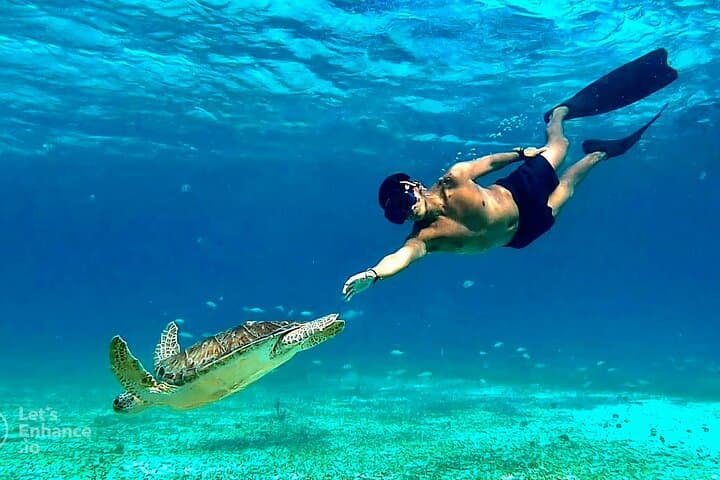 Cozumel Snorkeling: Turtle Sanctuary, El Cielo Starfish & Sandbank Tour photo 1