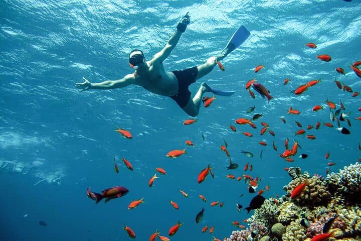 Private Speedboat to Orange Bay (Giftun): Snorkel the Red Sea from Hurghada photo 4